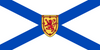 Nova Scotia Provincial Flag in TrueKolor Wrinkle Free Fabric