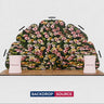 3x6m Petal Wall Booth Kit with 2 Oval Counters