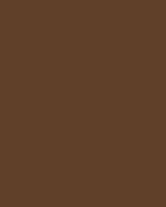 Fotolux Coco Brown Seamless Paper Background