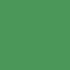Fotolux Chroma Green Seamless Paper Background