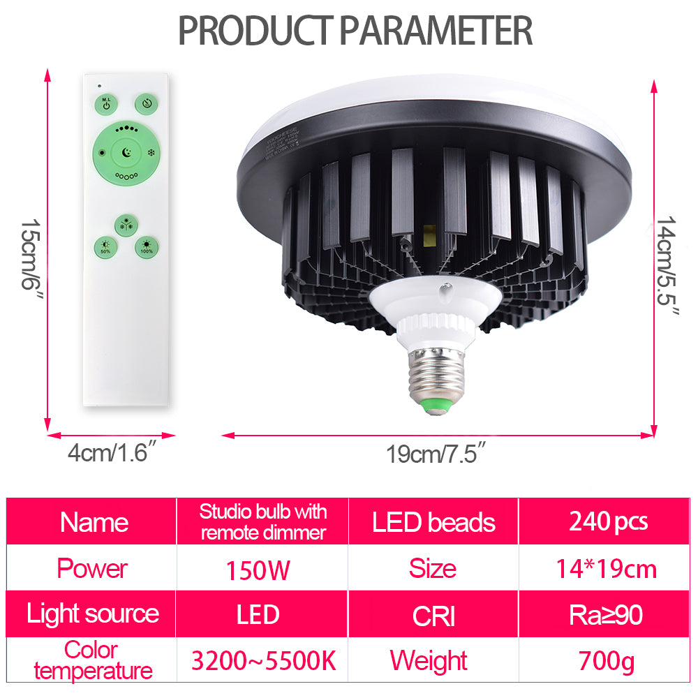 LED Light With Remote