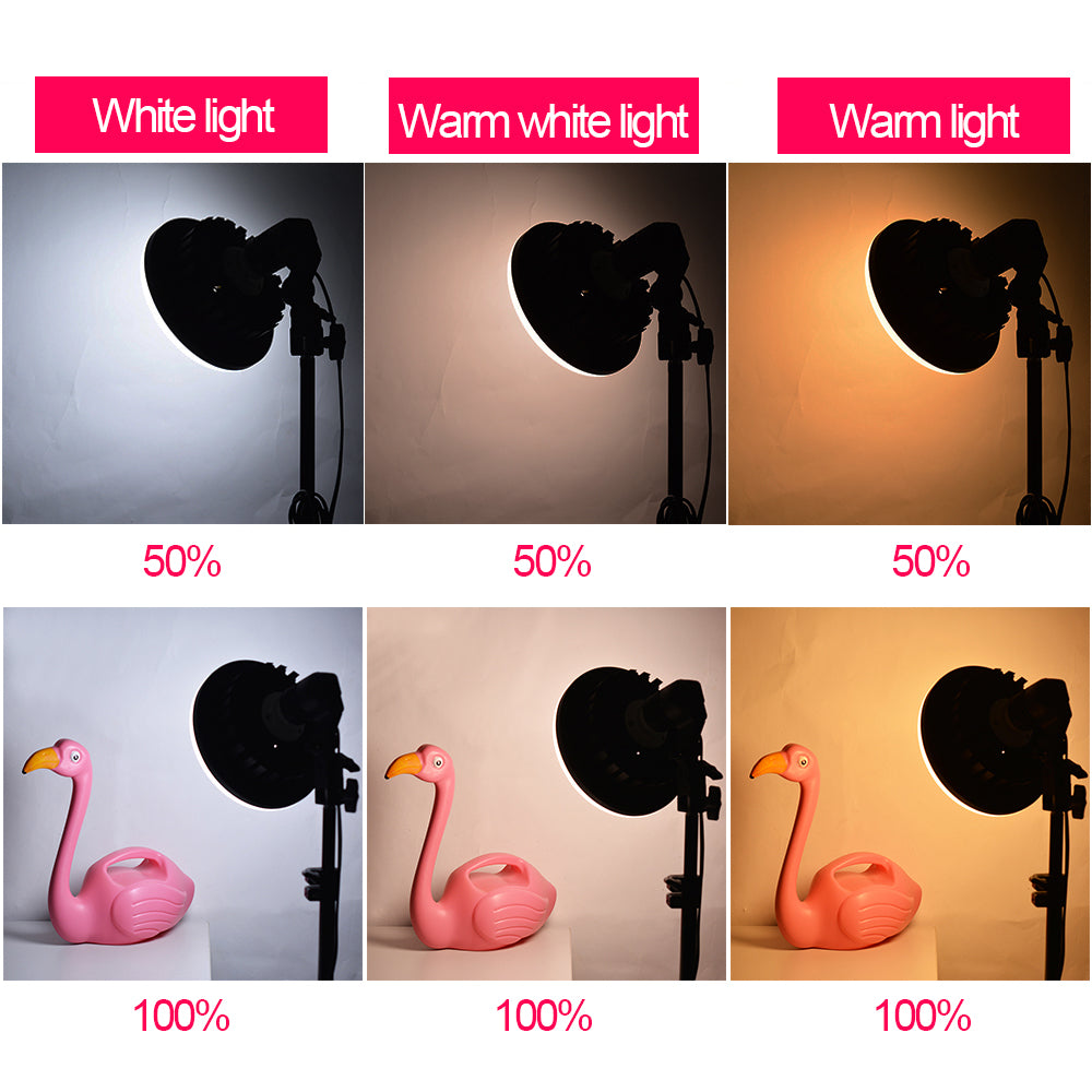 LED light With Stand For Photography