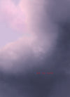 Spruce Blue Pink Clouds Print Photography Backdrop