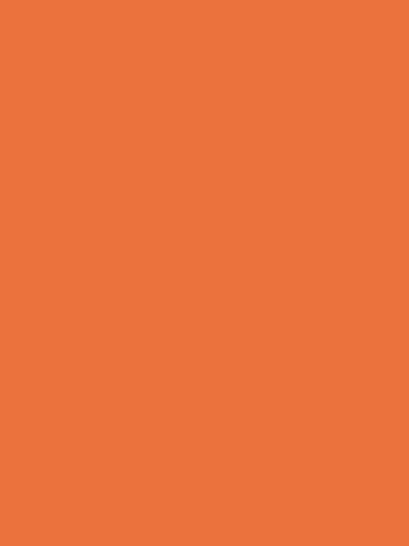 Fotolux Bright Orange Seamless Paper Background