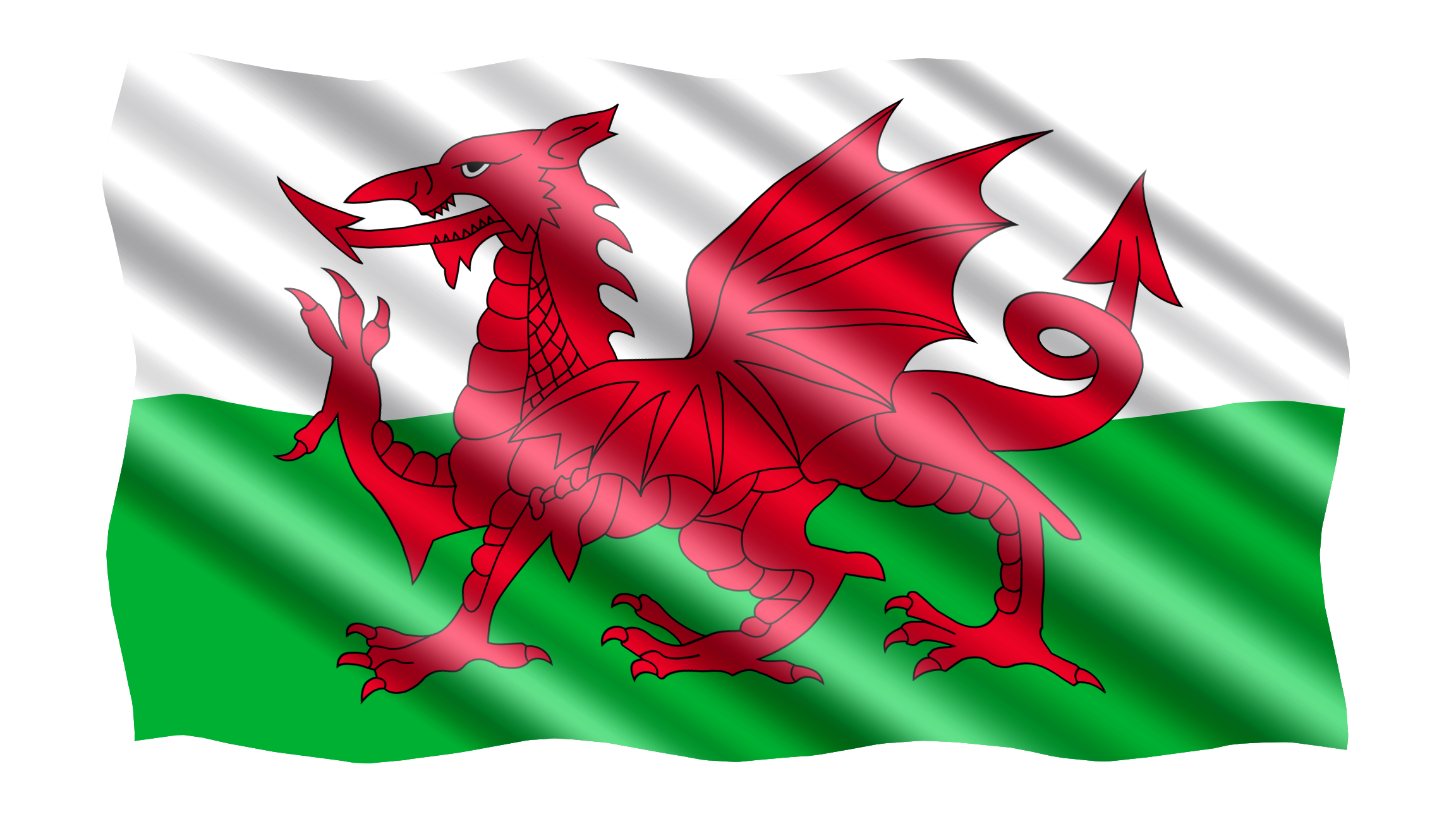 Wales Red Dragon Flag in TrueKolor Wrinkle Free Fabric
