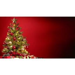 Majestic Red Photography Christmas Print Photography Backdrop