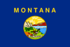 Montana State Flag in TrueKolor Wrinkle Free Fabric