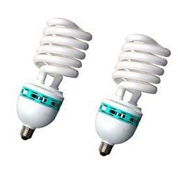 Pair Of 30 Watt Spiral Fluorescent Light Bulb Accessory