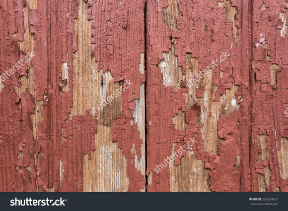 Rustic Red Door Print Photography Backdrop